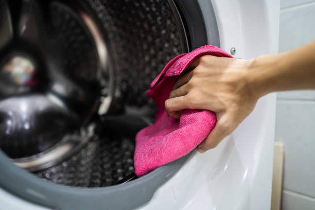 Reliable Dallas, OR Mold Removal Solutions