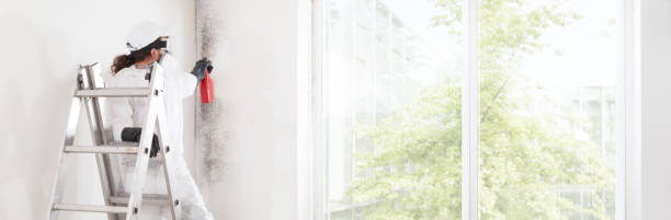 Best Post-Remediation Verification Testing  in Dallas, OR