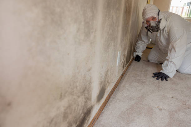 Best Industrial Mold Remediation  in Dallas, OR