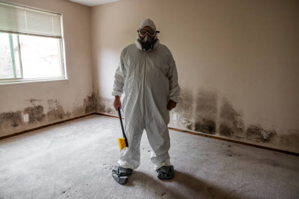 Biohazard Mold Removal in Dallas, OR